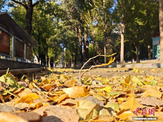 �S��54·��܉�܇�ؾ��h(hu��n)��������������߅�L(f��ng)ò�����������S���~䁝M·�������� ���z