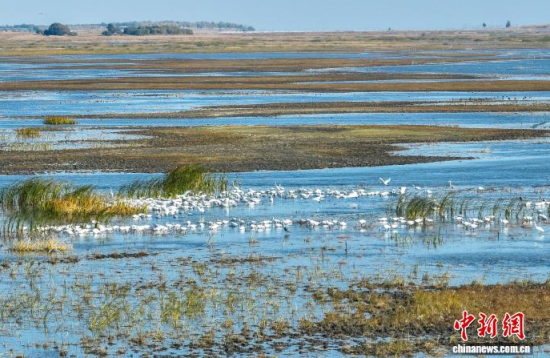 10��16��������ĪĪ����Ҽ���Ȼ���o�^(q��)��(n��i)�������ڑ�ˮ��(�o�˙C��Ƭ)�w��� �z