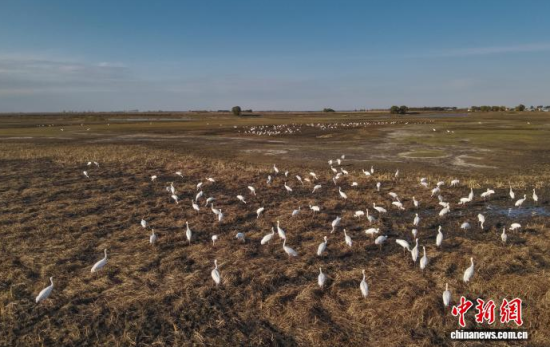 10��16�����ڼ���ĪĪ����Ҽ���Ȼ���o�^(q��)��(n��i)���Q����Ϣ��(�o�˙C��Ƭ)�w��� �z