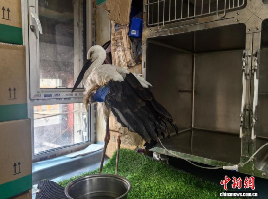 �܂��Ė|�����X���ڽ����ί�����ʯ���� �z