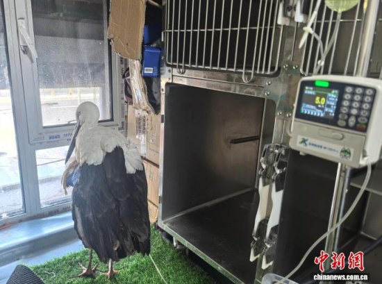 �܂��Ė|�����X���ڽ���ݔҺ�ί�����ʯ���� �z