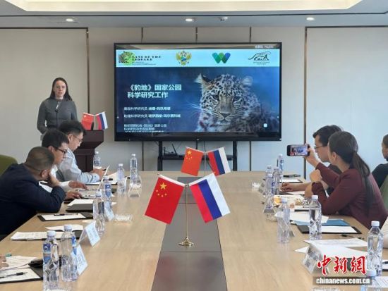 ���_˹���ҷ������o(h��)�|������(j��ng)�(y��n)�������� �z